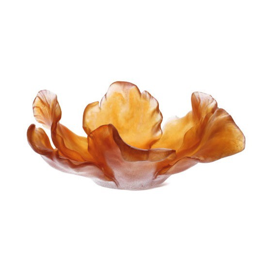 Tulip Coupe