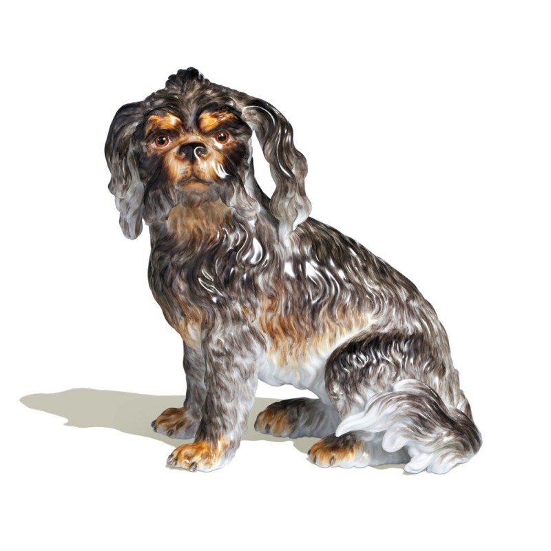 Dog - Colored
